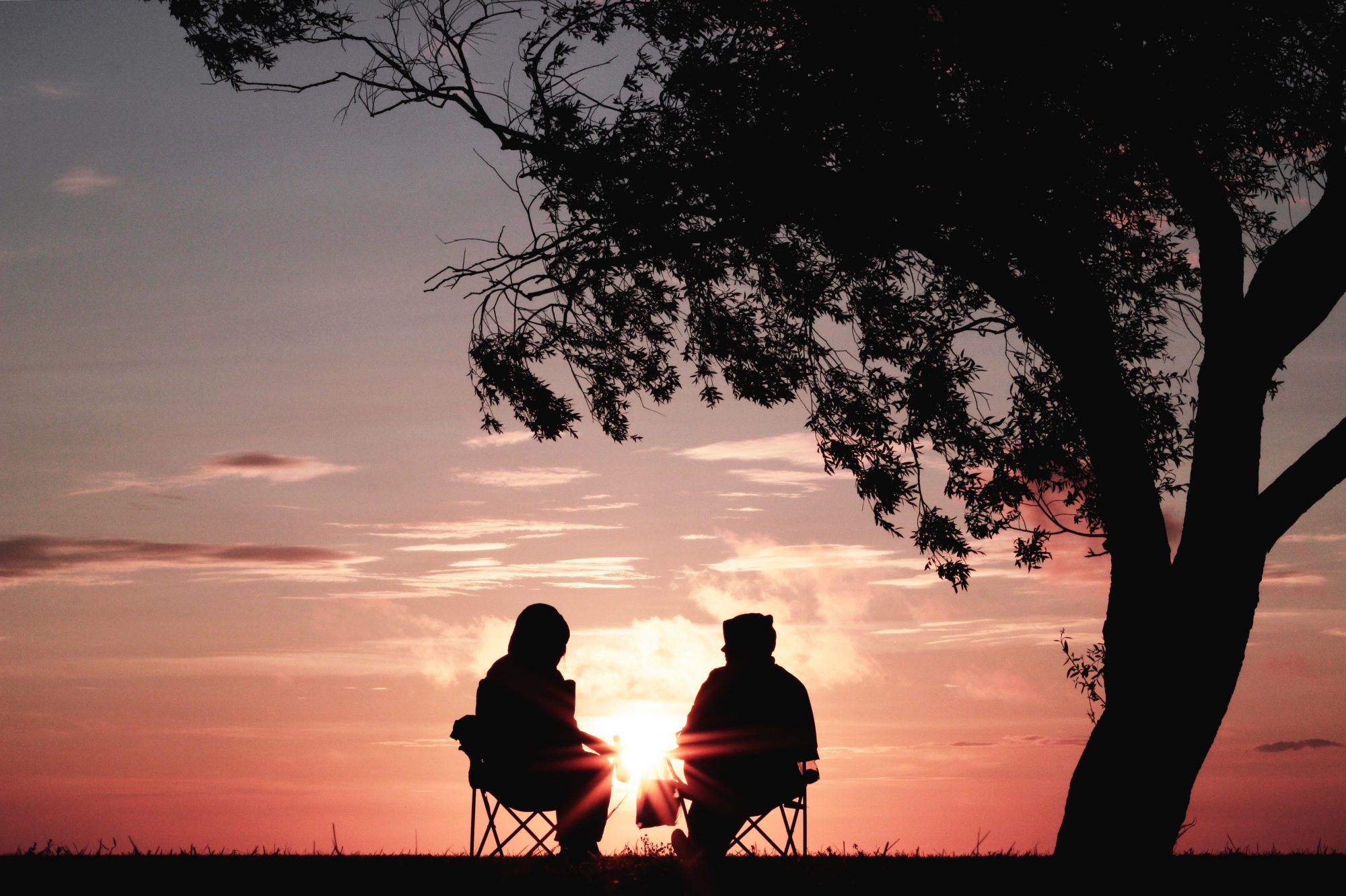 6 Helpful Books To Maintain Your Health In Retirement 71 Photo by Harli Marten on Unsplash