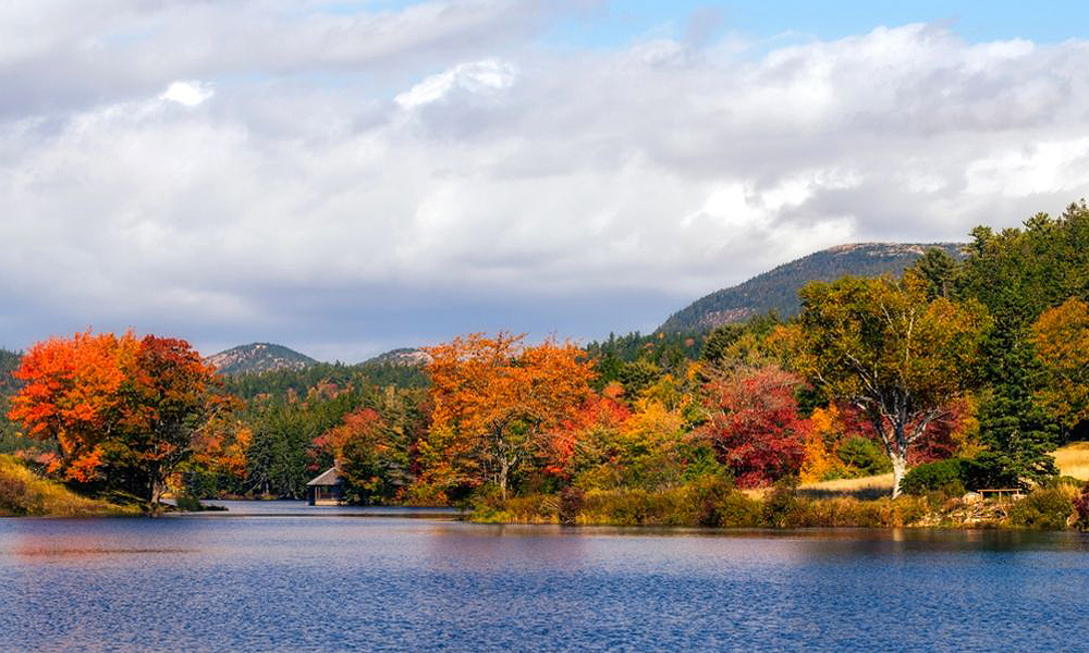 Get Creative: Best Places for Fall Photography