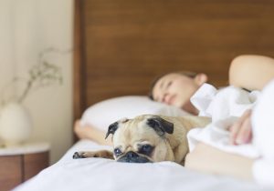 Things That Could Be Hurting Your Sleep