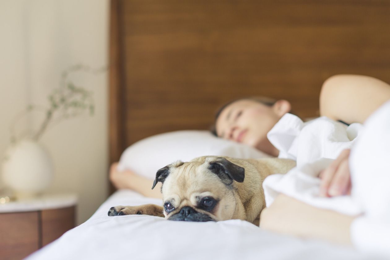 Things That Could Be Hurting Your Sleep