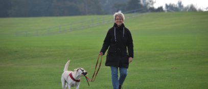 Image by fsHH from Pixabay