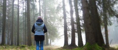 Image by silviarita from Pixabay