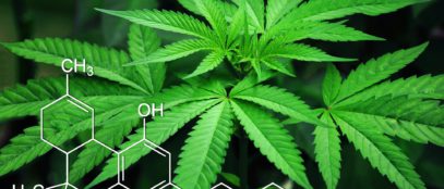 Image by cytis from Pixabay