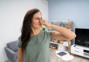 Top Tips For Spotting Dry Rot In a Home