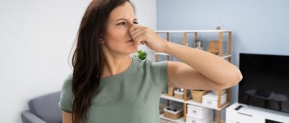 Top Tips For Spotting Dry Rot In a Home