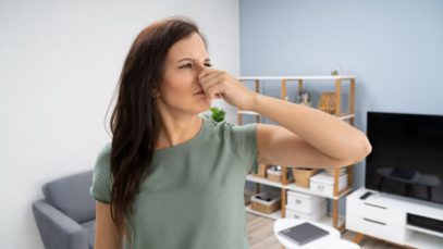 Top Tips For Spotting Dry Rot In a Home