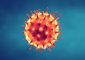 Most Common Spreadable Diseases