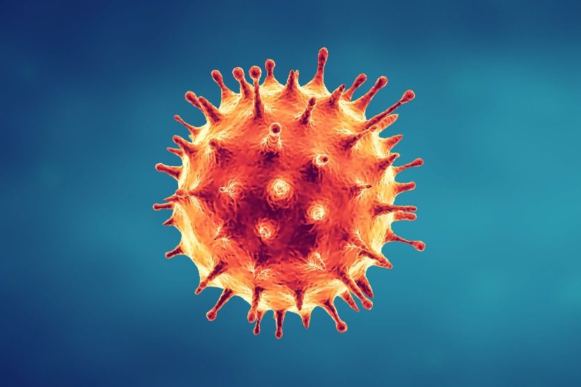 Most Common Spreadable Diseases