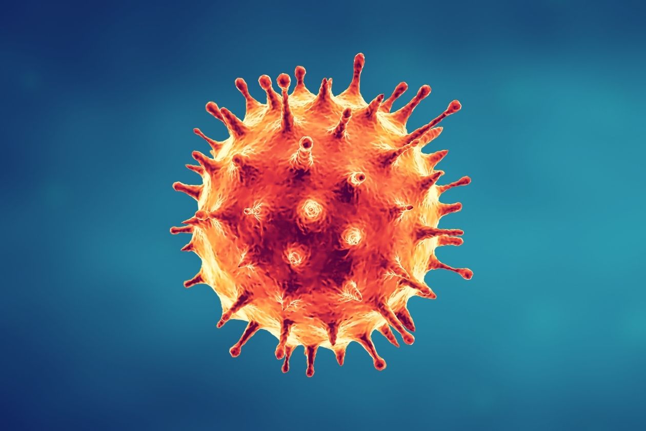 Most Common Spreadable Diseases