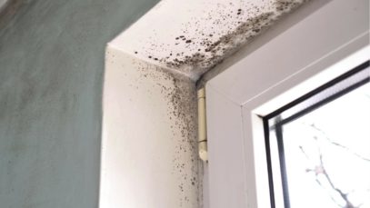Reasons To Be Monitoring the Humidity Levels in Your Home