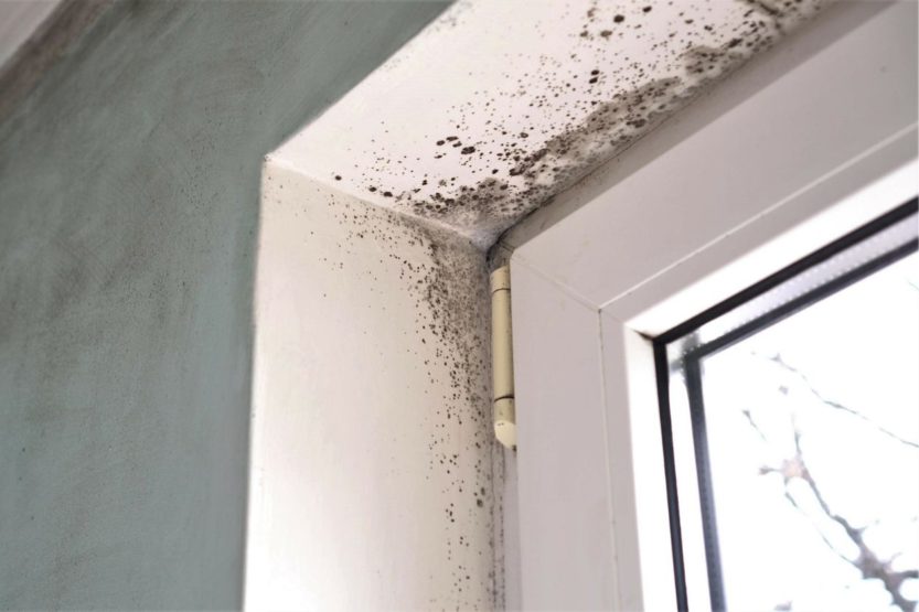 Reasons To Be Monitoring the Humidity Levels in Your Home
