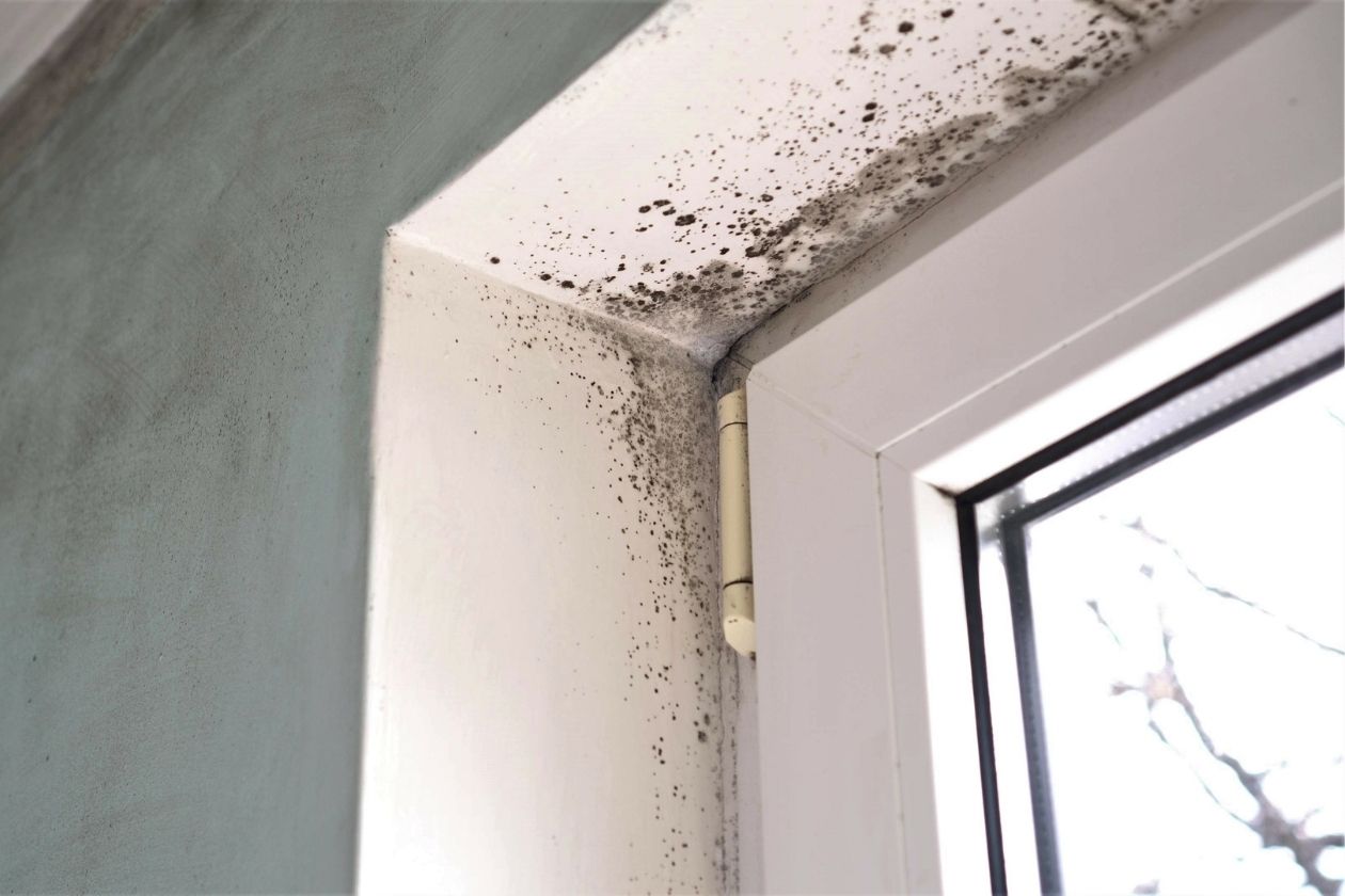 Reasons To Be Monitoring the Humidity Levels in Your Home