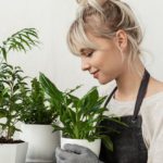 Plant Puns: A Few of the Best Gifts for Gardeners