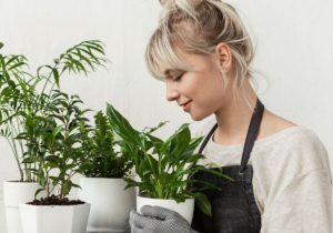 Plant Puns: A Few of the Best Gifts for Gardeners