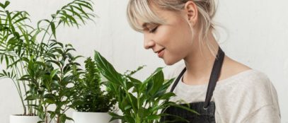 Plant Puns: A Few of the Best Gifts for Gardeners