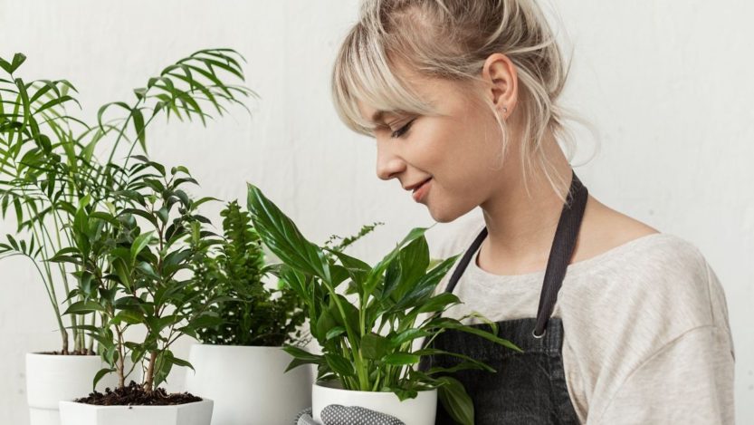 Plant Puns: A Few of the Best Gifts for Gardeners