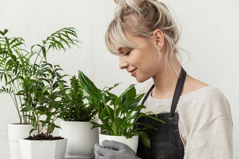 Plant Puns: A Few of the Best Gifts for Gardeners
