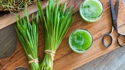 The Dos and Don’ts of Juicing Wheatgrass
