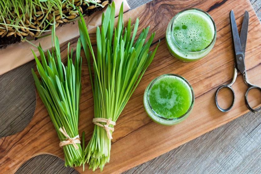 The Dos and Don’ts of Juicing Wheatgrass