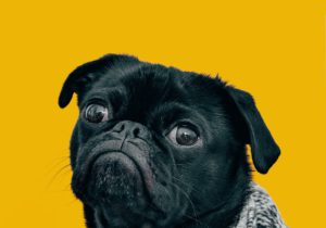 charlesdeluvio Mv9hjnEUHR4 unsplash