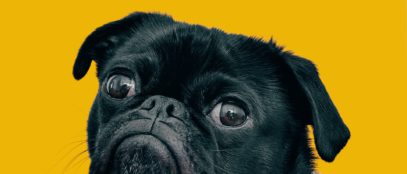 charlesdeluvio Mv9hjnEUHR4 unsplash