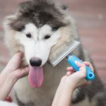 Year-Round Allergies: 3 Common Causes of Indoor Allergies