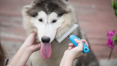 Year-Round Allergies: 3 Common Causes of Indoor Allergies