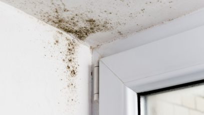 Common Health Risks Associated With Mold Exposure