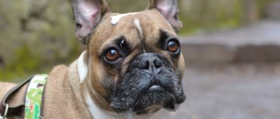 How To Stay Healthy Over This Winter Season