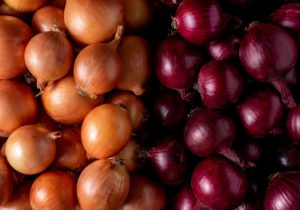 The Best Summer Dishes That Use Raw Onion