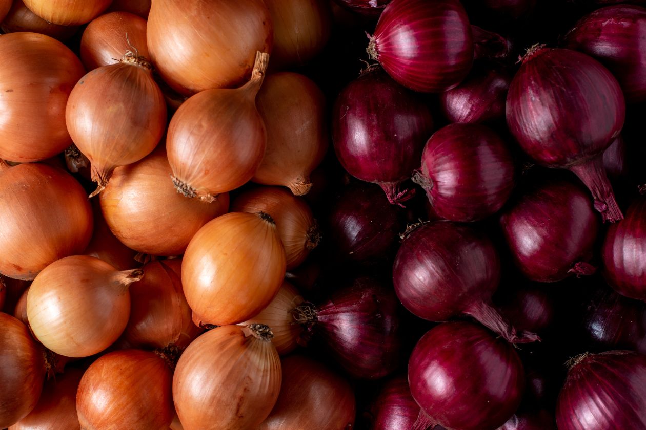 The Best Summer Dishes That Use Raw Onion