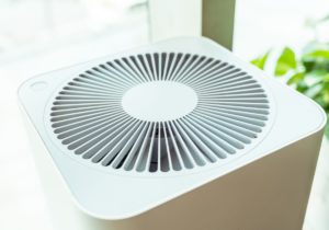 Ways To Combat Against Seasonal Allergies