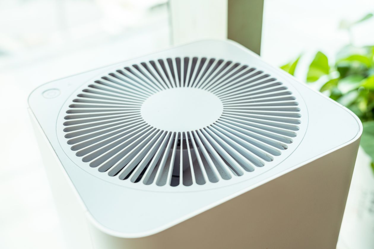 Ways To Combat Against Seasonal Allergies