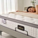 Free Templates Prompts Cheats 25